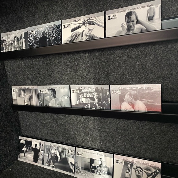 Elvis - Picture 5 of 7